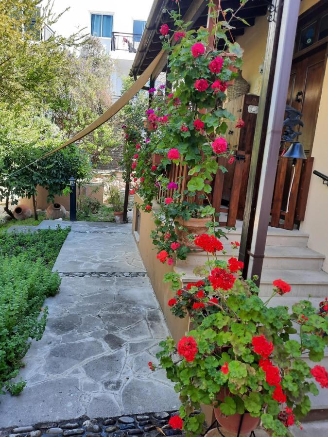 הוילה Polis Vasilion Agrotourism מראה חיצוני תמונה