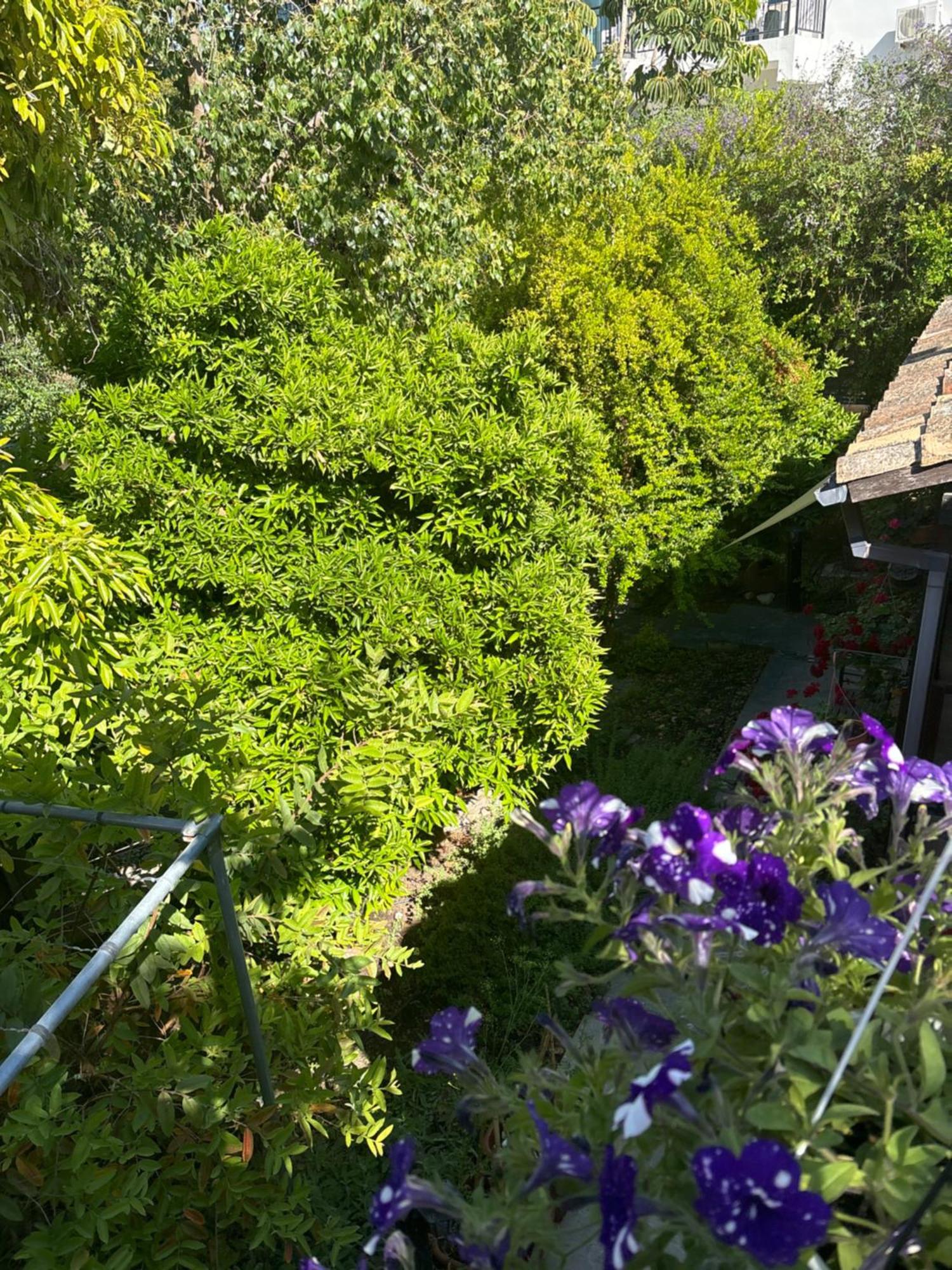 הוילה Polis Vasilion Agrotourism מראה חיצוני תמונה