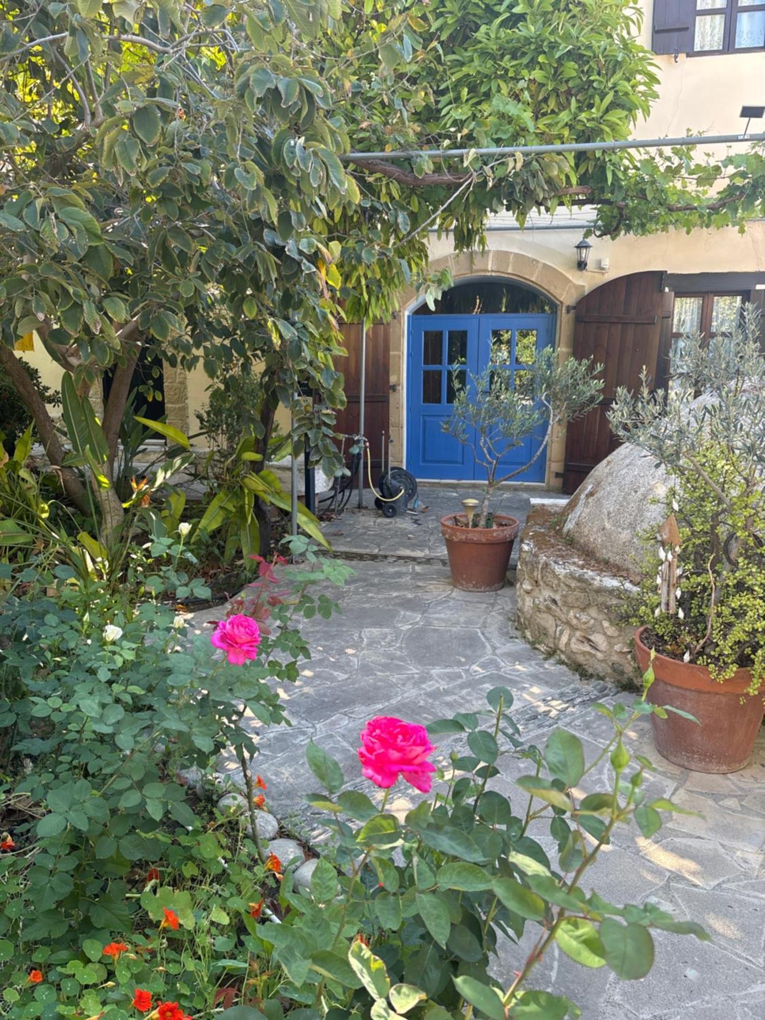 הוילה Polis Vasilion Agrotourism מראה חיצוני תמונה
