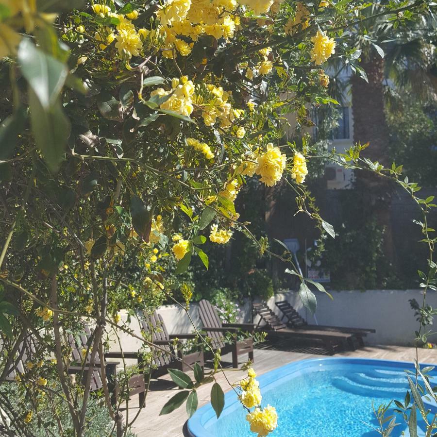 הוילה Polis Vasilion Agrotourism מראה חיצוני תמונה